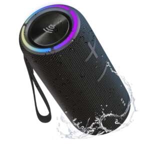 TF - Speaker PALM 300 Black 1