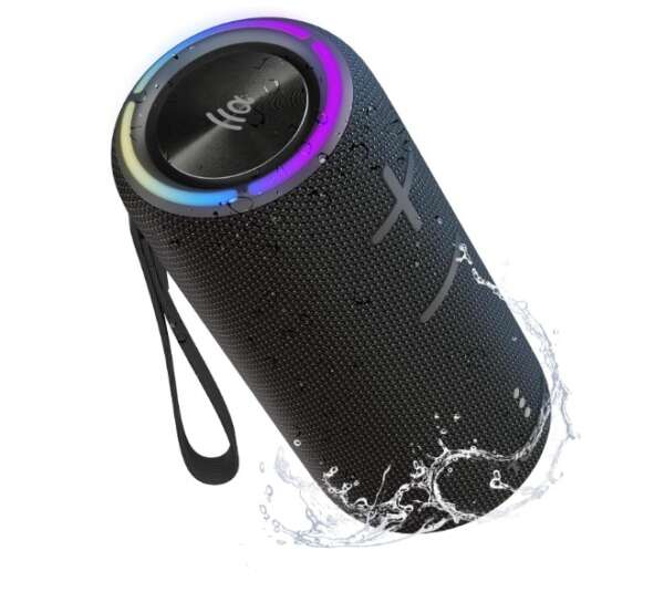 TF - Speaker PALM 300 Black 1