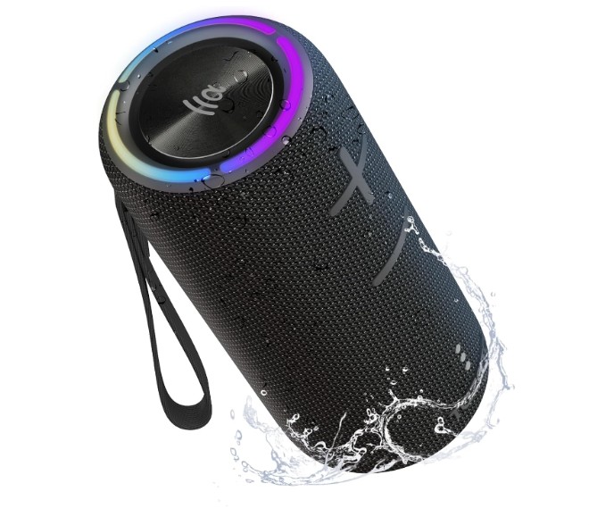 TF - Speaker PALM 300 Black 1