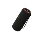 TF - Speaker PALM 300 Black 3