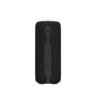 TF - Speaker PALM 300 Black 4